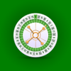 Roulette Dashboard