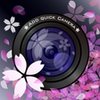 Sakura Camera　(桜 Camera) APK