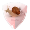 SlowDNS APK