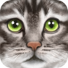 Ultimate Cat Simulator