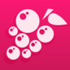 Uva Rosa APK