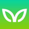 ViewFruit