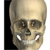 Visual Bones