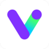 Visual Money Manager APK