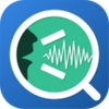Voice Analyst