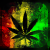 Weed APK