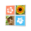Word Square APK