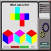 Brain WorkOut