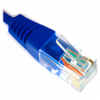 CableNut