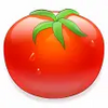 CherryTomato