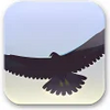 Eagle Mode