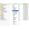 Folder Size Extension