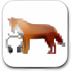 FoxPlayer