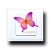 InDesign CS2
