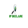 IP Declare