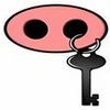 iPIG Secure Access VPN Server