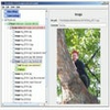 JShowBuilder