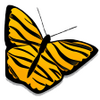 Amnesty Widget Browser