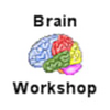Brain Workshop