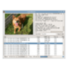 CacheViewer