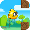 Flap Flap