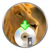 Lion Disk Maker