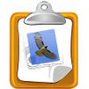 MailCM