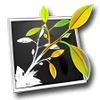 MindNode Pro