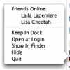 Second Life Notifier
