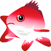 Snapper