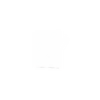 Notebook Pro