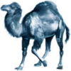 Perl
