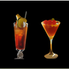 Professional Bartender