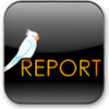 ReportIt