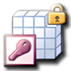 Security Administrator