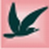 Swift XML Converter