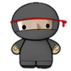 System Ninja