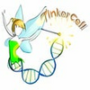 TinkerCell
