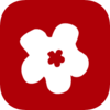 VisualCrypt Pro