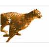 XoftSpySE